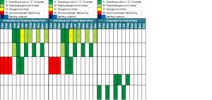 Part of monitoring of implementation progress – using color codes